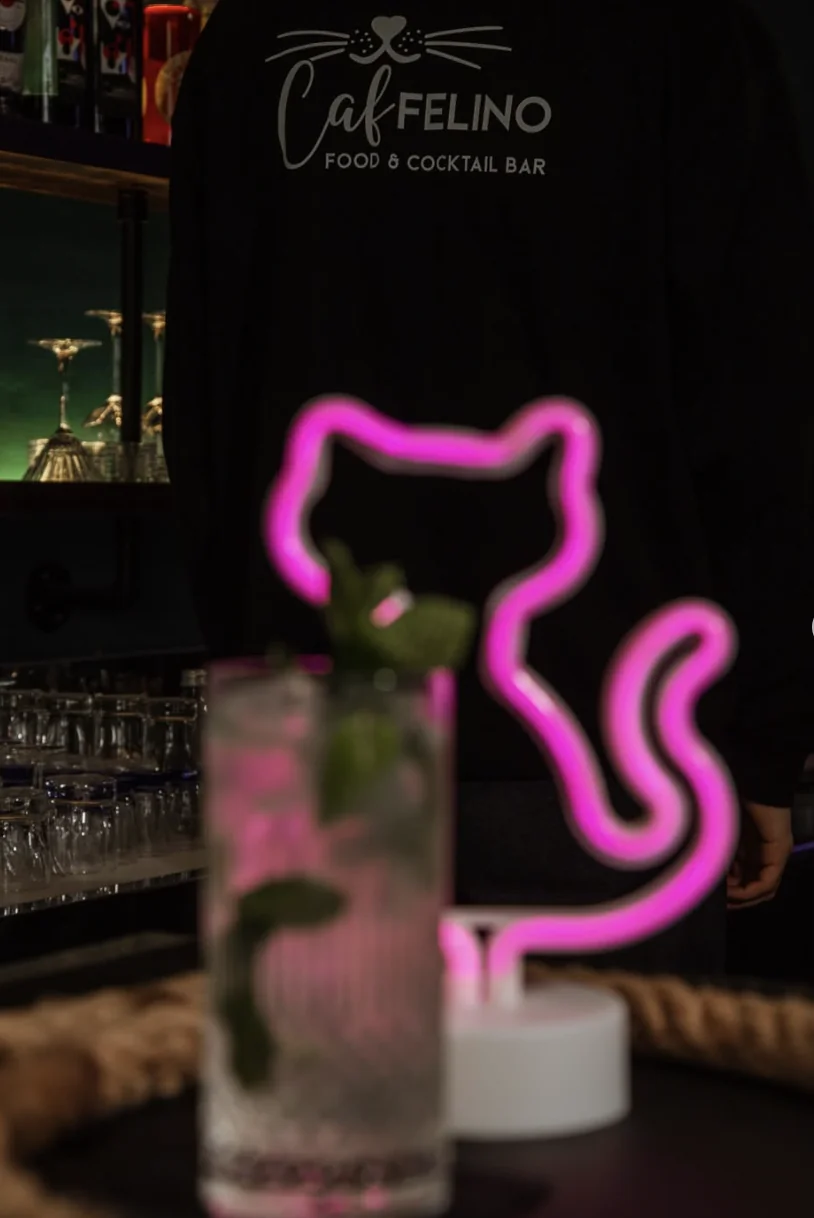 Atmosfera Caffelino — insegna al neon a forma di gatto